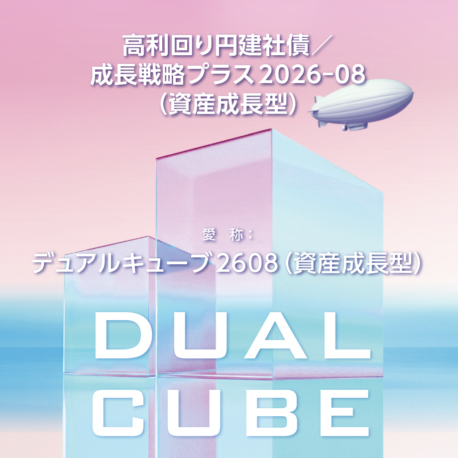 デュアルキューブ