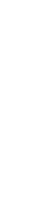 Voice #02
