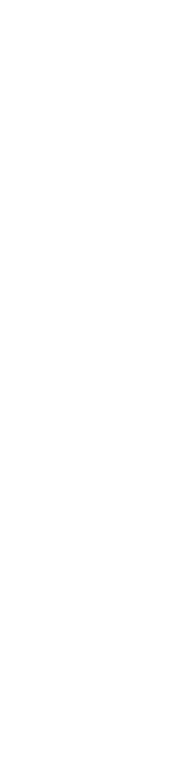 Voice #03