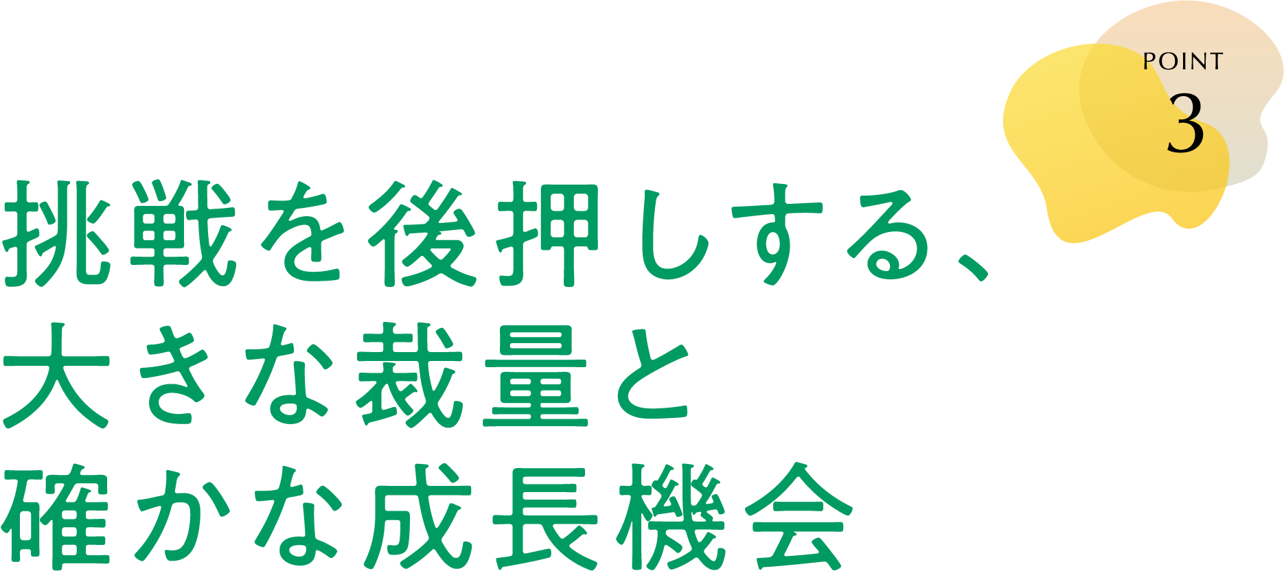 POINT 3 挑戦を後押しする、大きな裁量と確かな成長機会